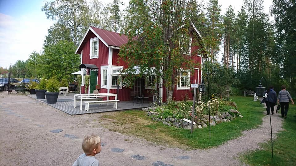 Punainen puutalo pihapiireineen kesällä